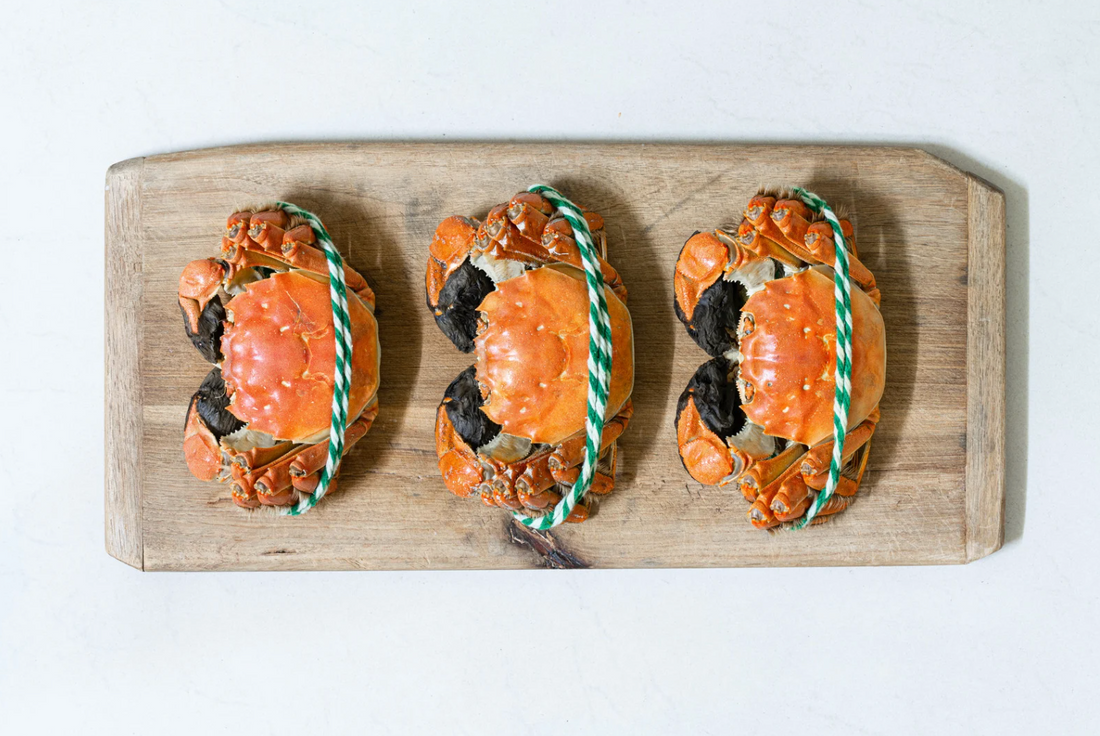 【秋日大閘蟹雙重奏！清蒸原味vs鹽焗鹹香 蒸焗爐一機搞定！】